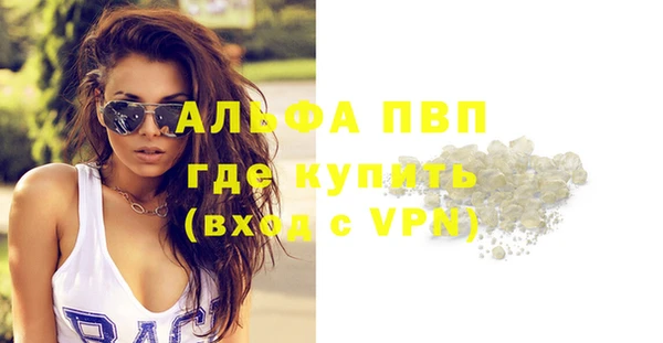 индика Няндома