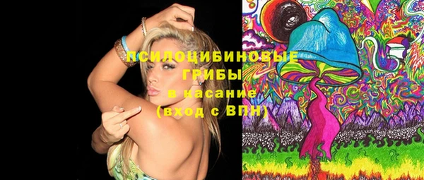 стафф Алексеевка