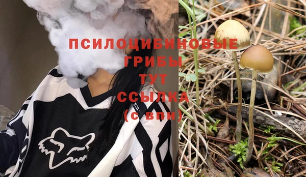 мет Алексин