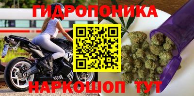 spice Пушкино