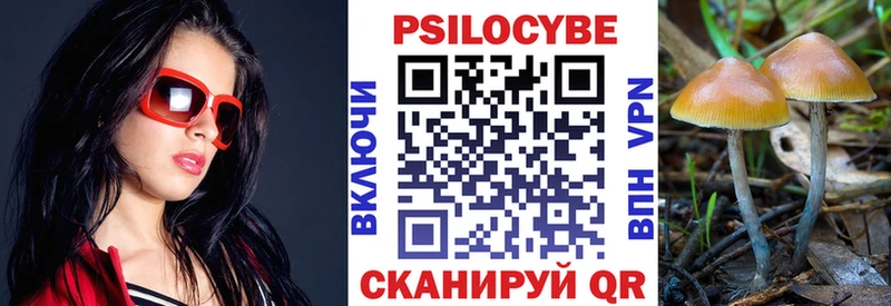 Псилоцибиновые грибы GOLDEN TEACHER Сунжа
