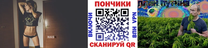 blacksprut как зайти  Сунжа  Бошки марихуана Ganja 